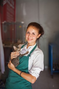 Woman working in animal shelter